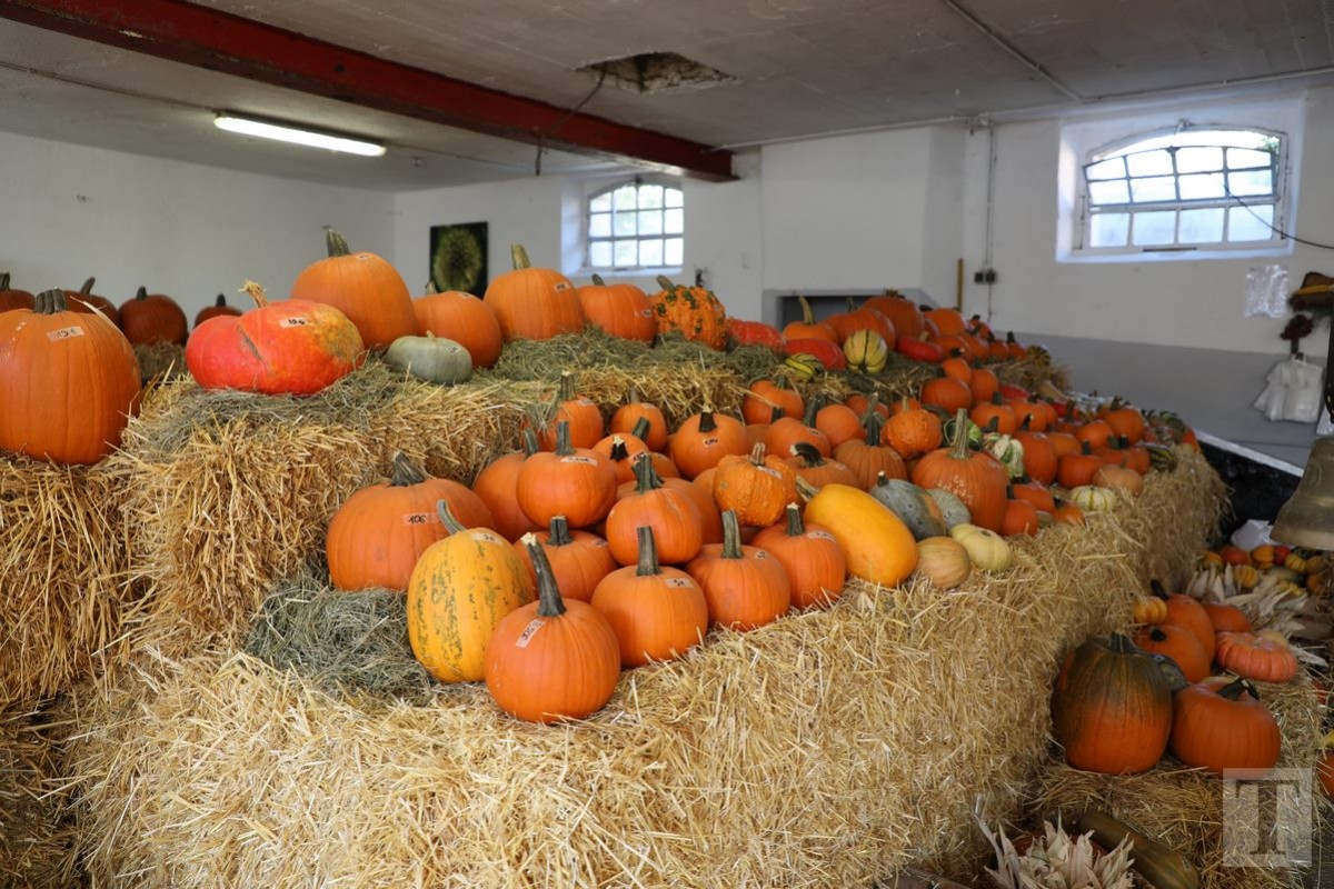 30.09.2018_Editpress_462454