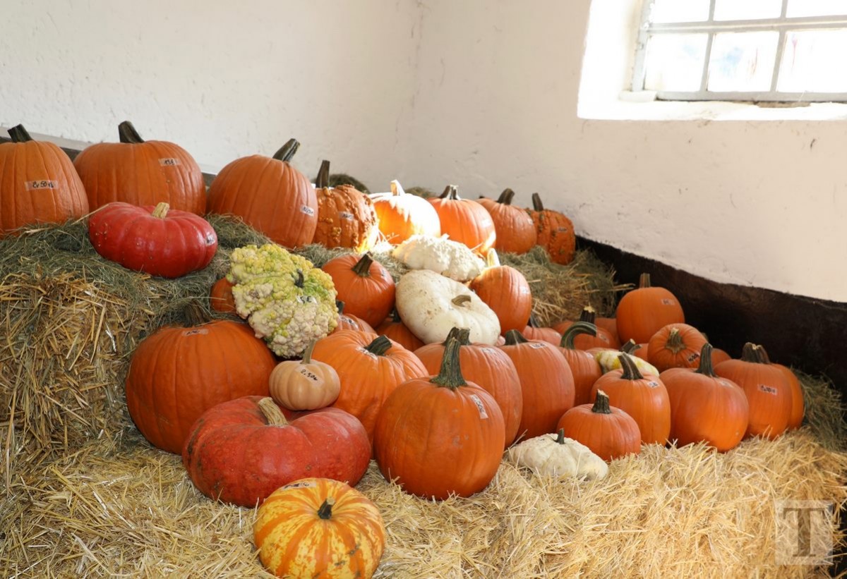 30.09.2018_Editpress_462455