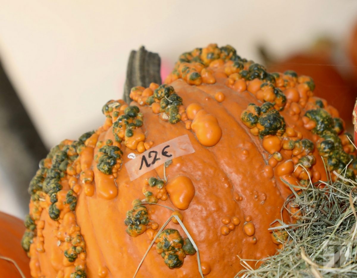 30.09.2018_Editpress_462456