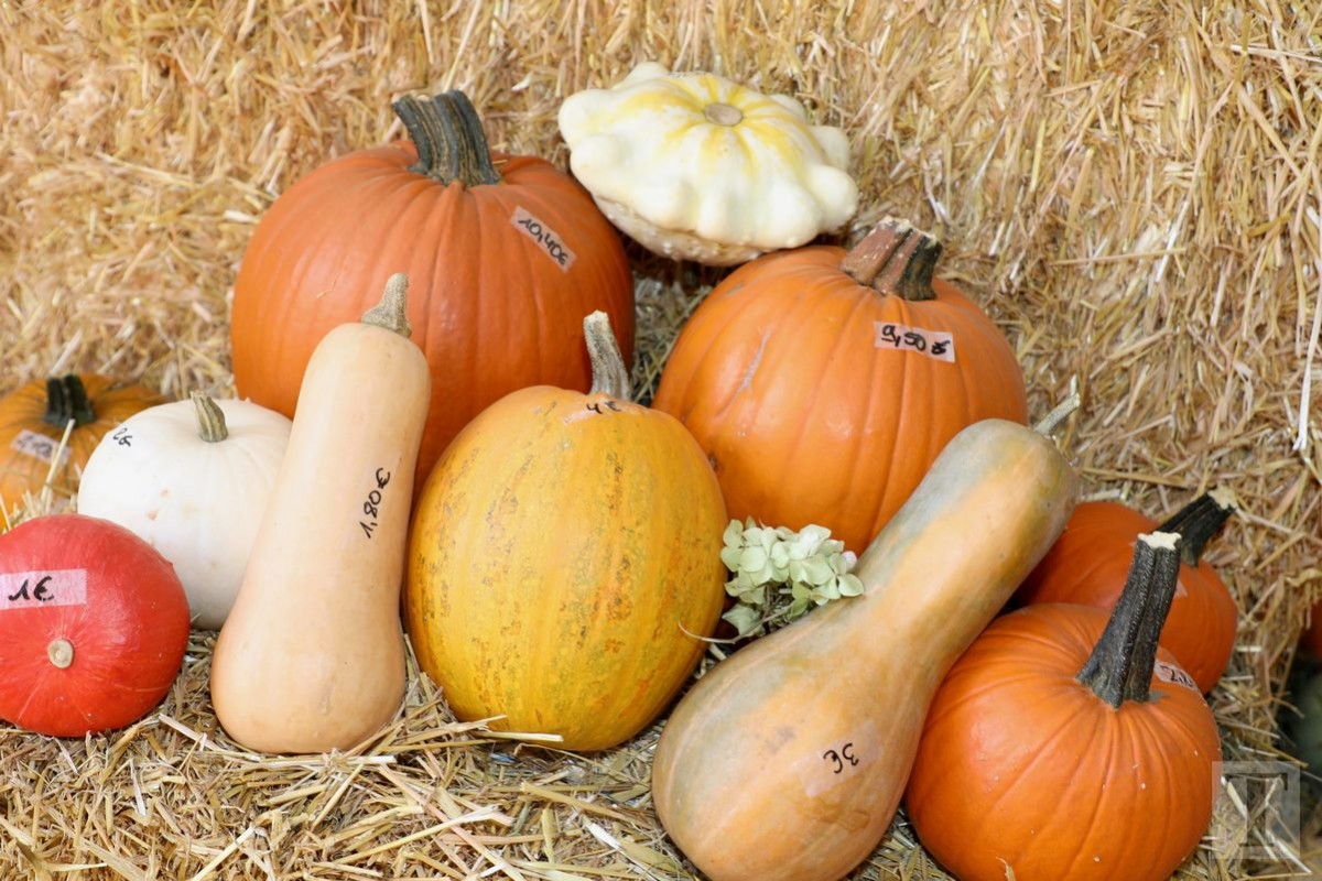 30.09.2018_Editpress_462457