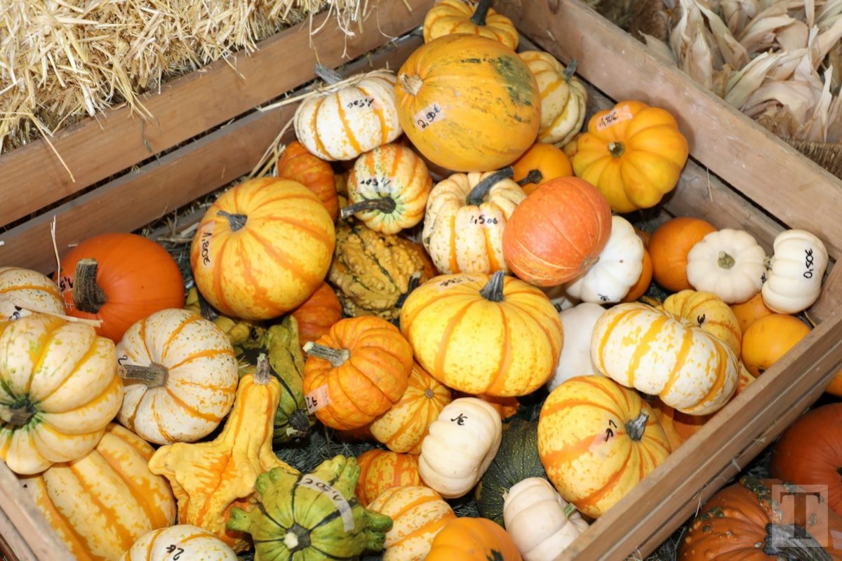 30.09.2018_Editpress_462458