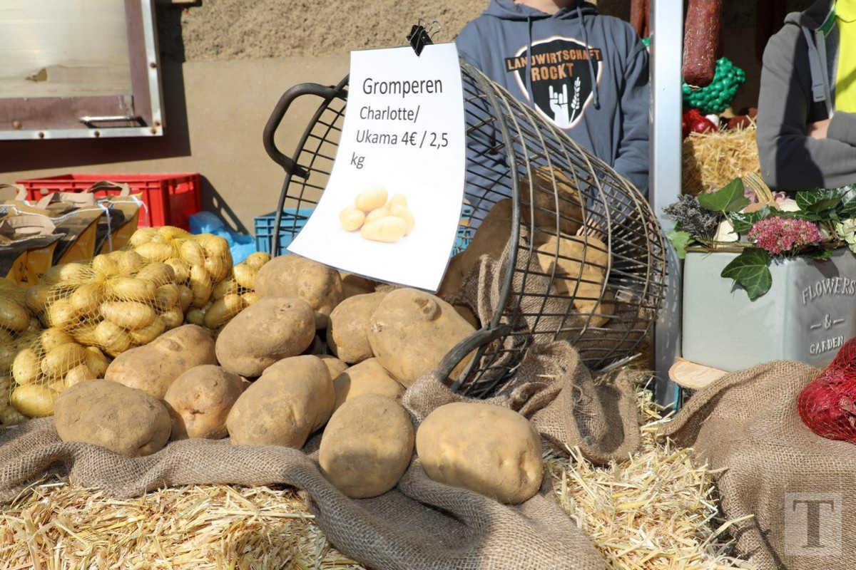 30.09.2018_Editpress_462459