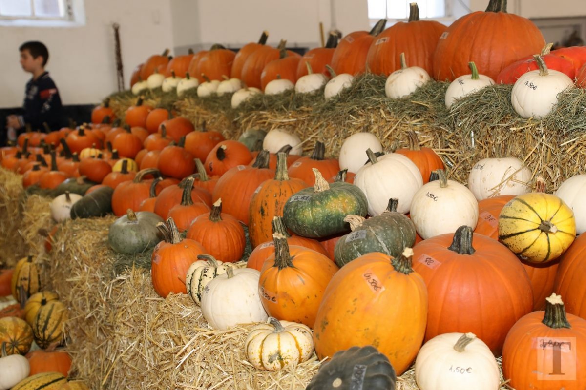 30.09.2018_Editpress_462461