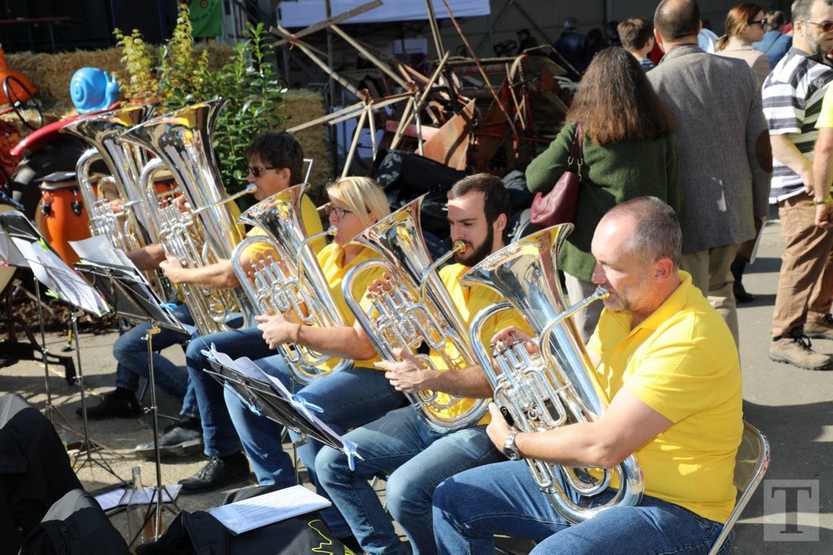 30.09.2018_Editpress_462462