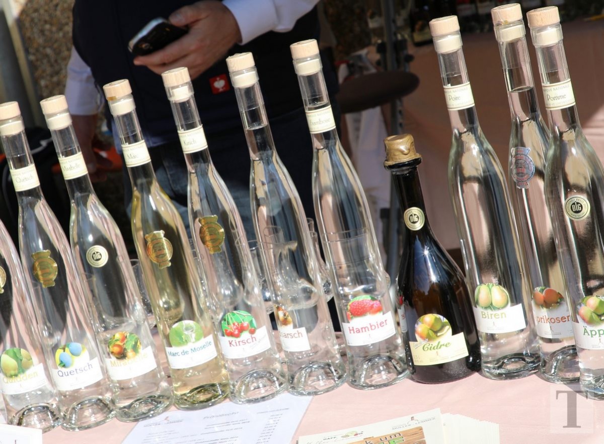 30.09.2018_Editpress_462472