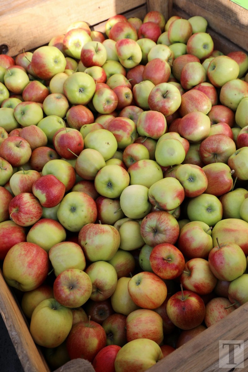 30.09.2018_Editpress_462473