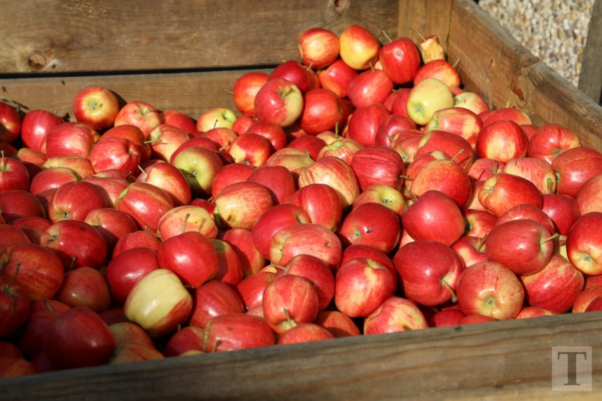 30.09.2018_Editpress_462474