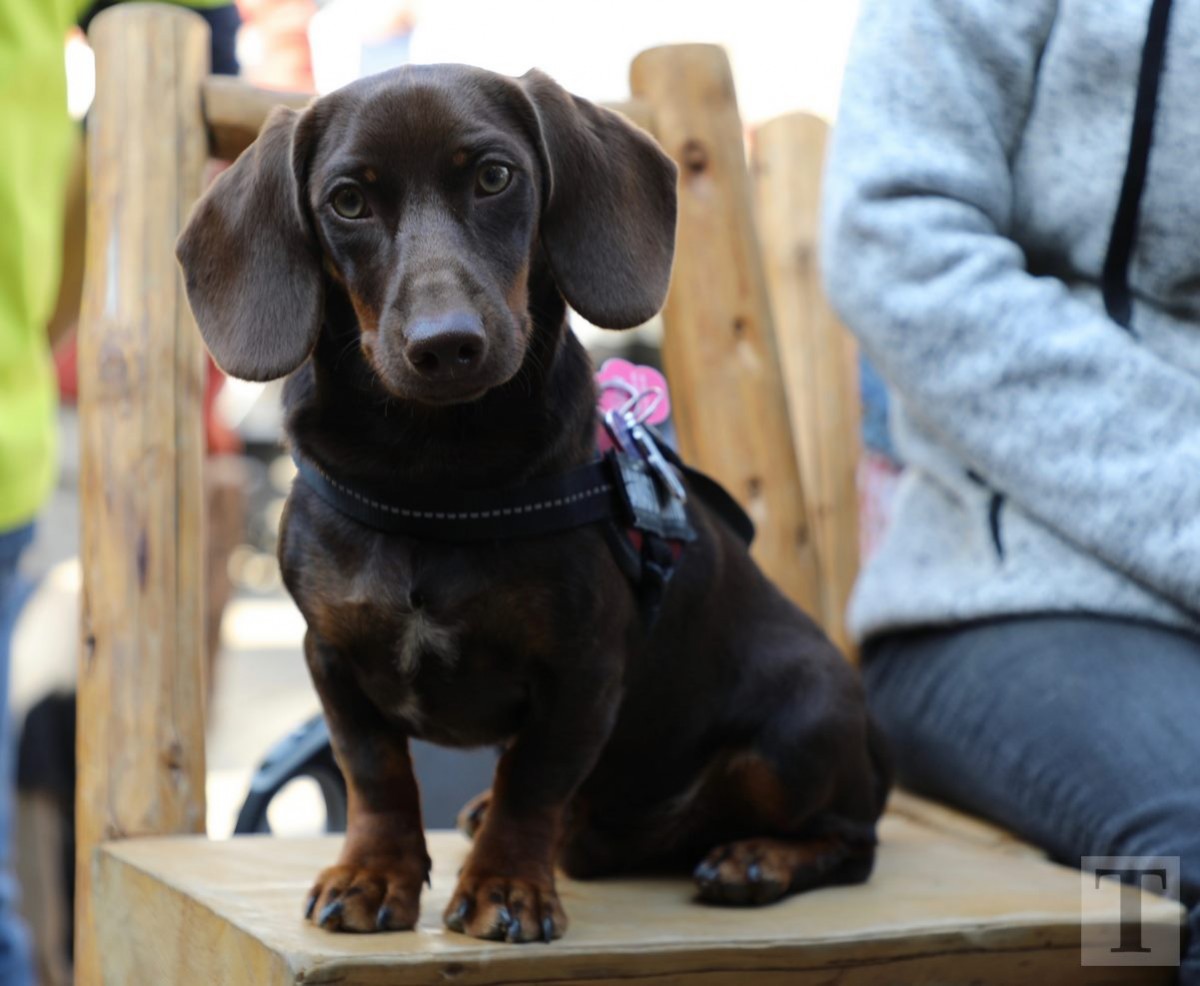 30.09.2018_Editpress_462476