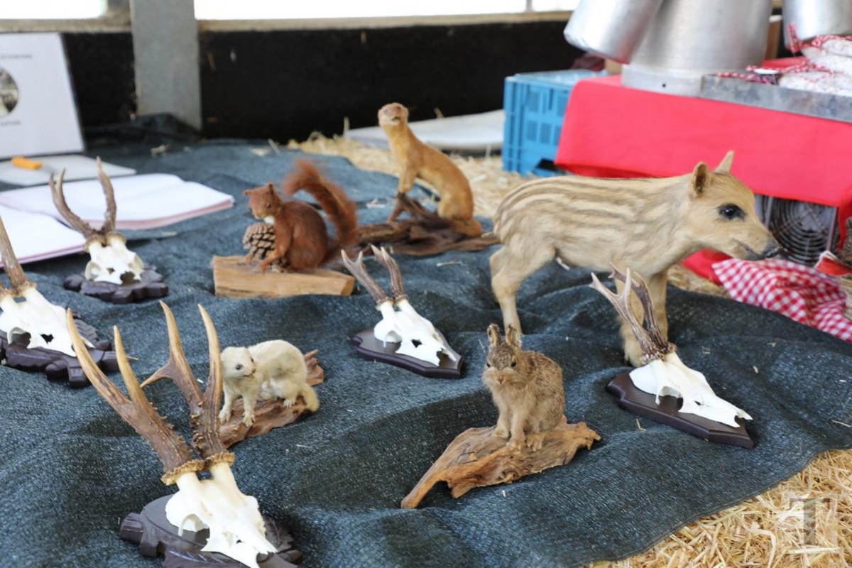 30.09.2018_Editpress_462481