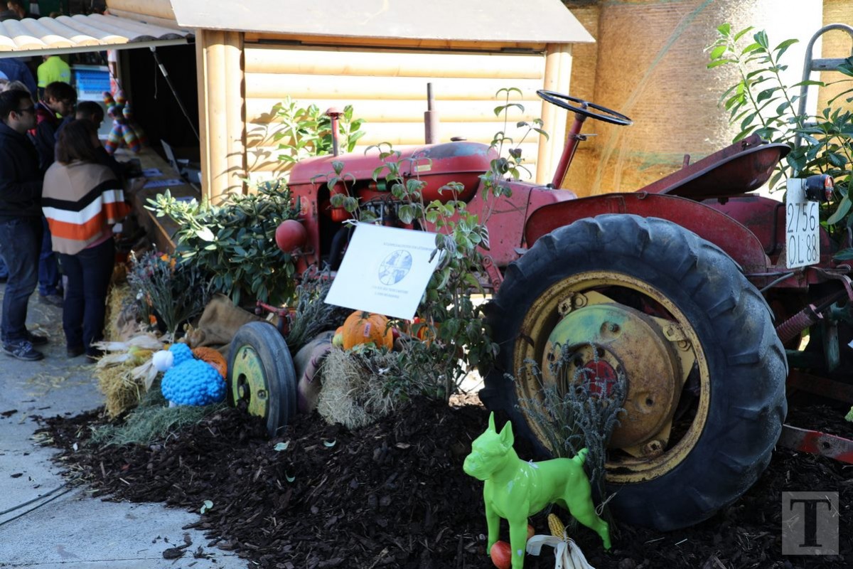 30.09.2018_Editpress_462482