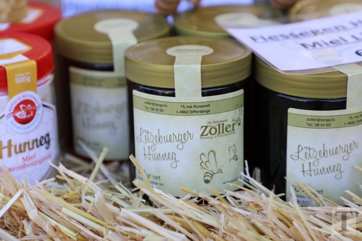 30.09.2018_Editpress_462484