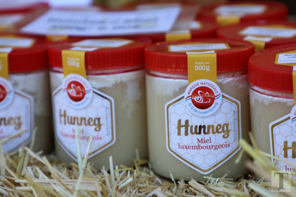 30.09.2018_Editpress_462485