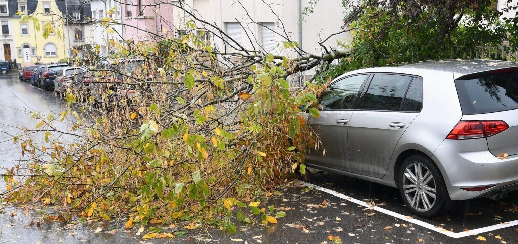 Sturm Fabienne sorgt für Chaos