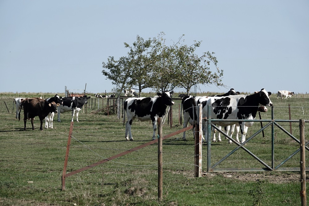 WEB20181001 S CGDIS Nationaler Sicherheitstag Roeser 41 François BeschFrançois Besch