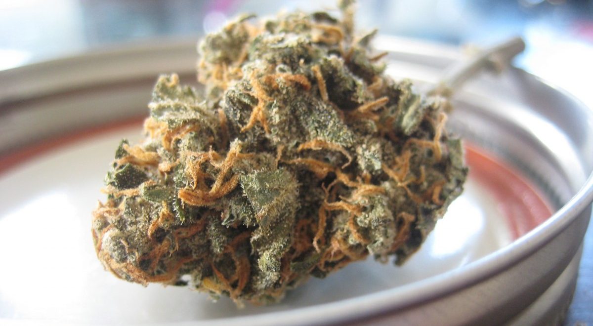 Jugendliche flüchten mit Drogen vor der Polizei