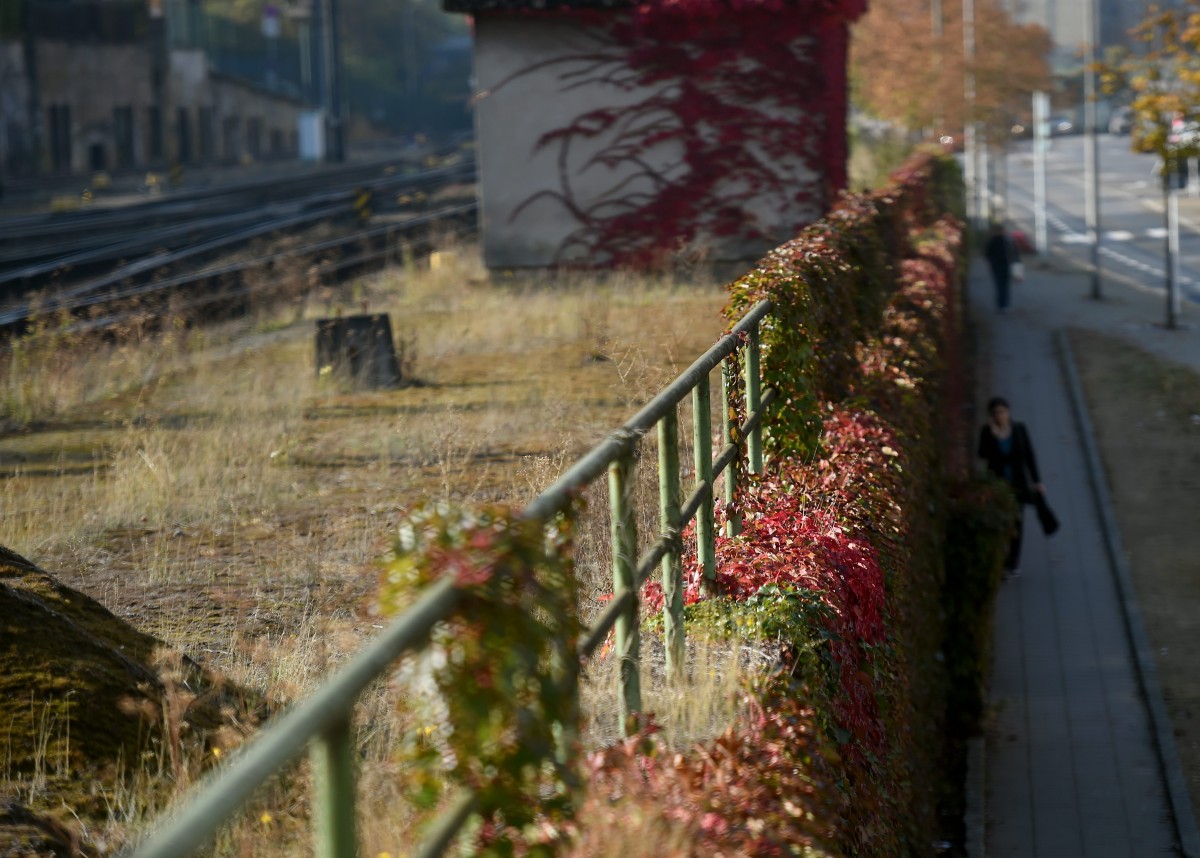 10.10.2018_Editpress_464332