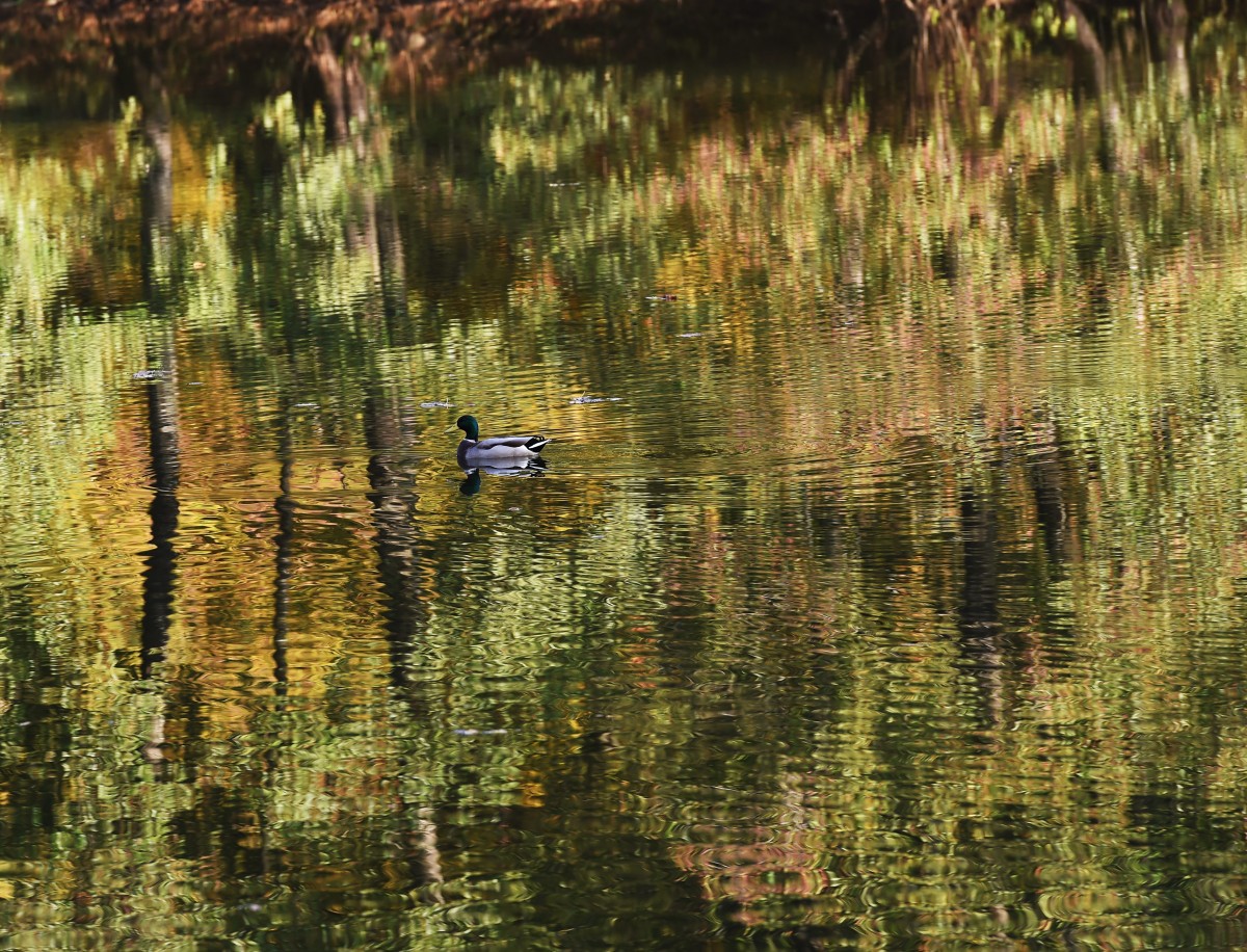 16.10.2018_Editpress_464328
