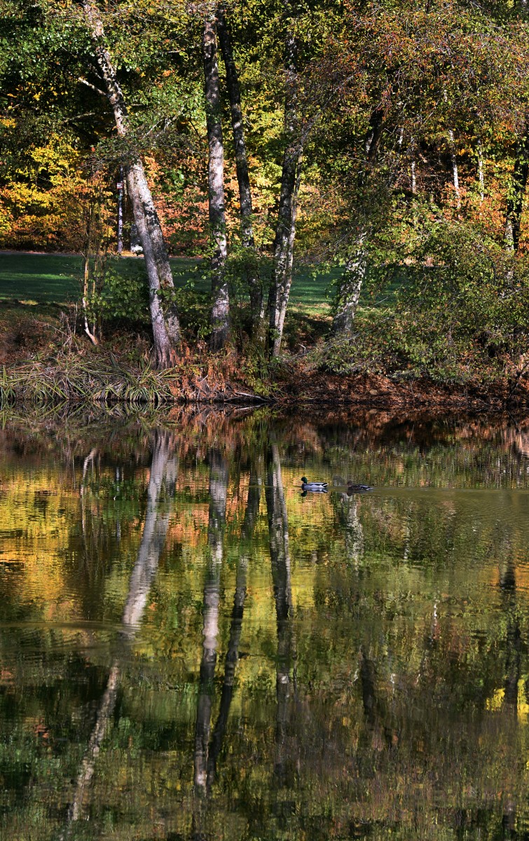 16.10.2018_Editpress_464332