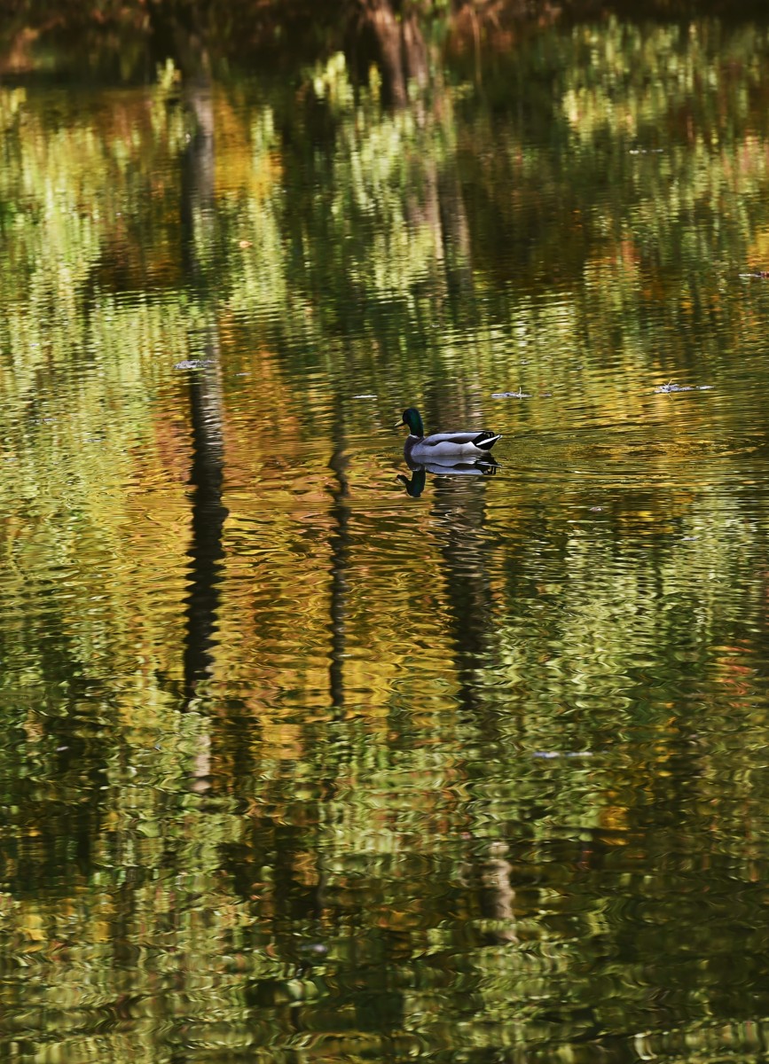 16.10.2018_Editpress_464335