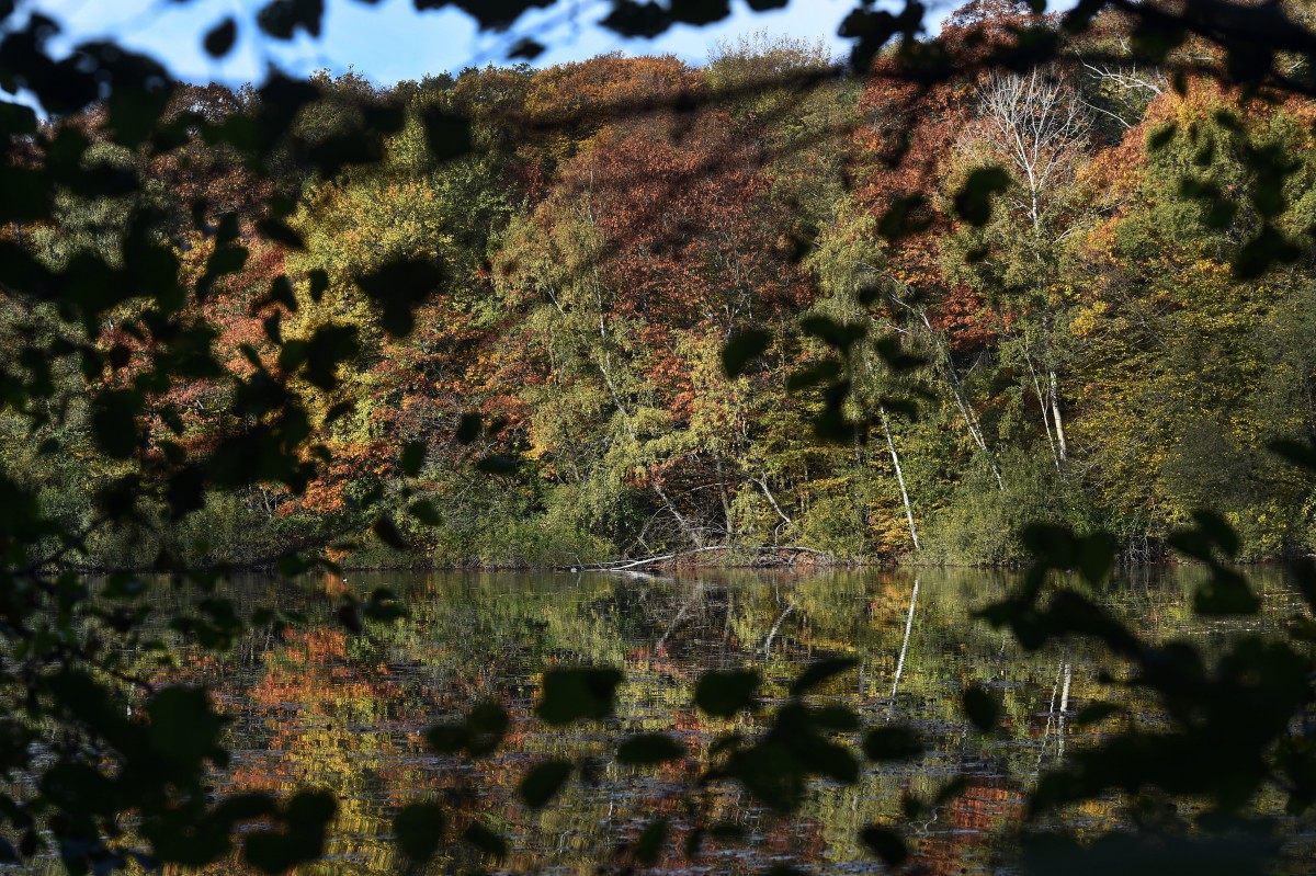 16.10.2018_Editpress_464338