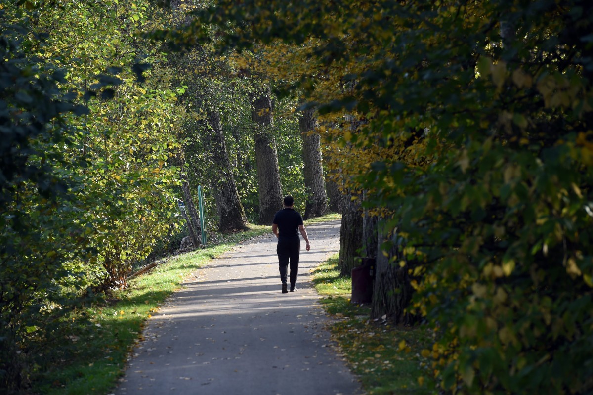 16.10.2018_Editpress_464340