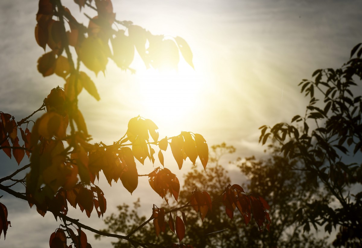 16.10.2018_Editpress_464342