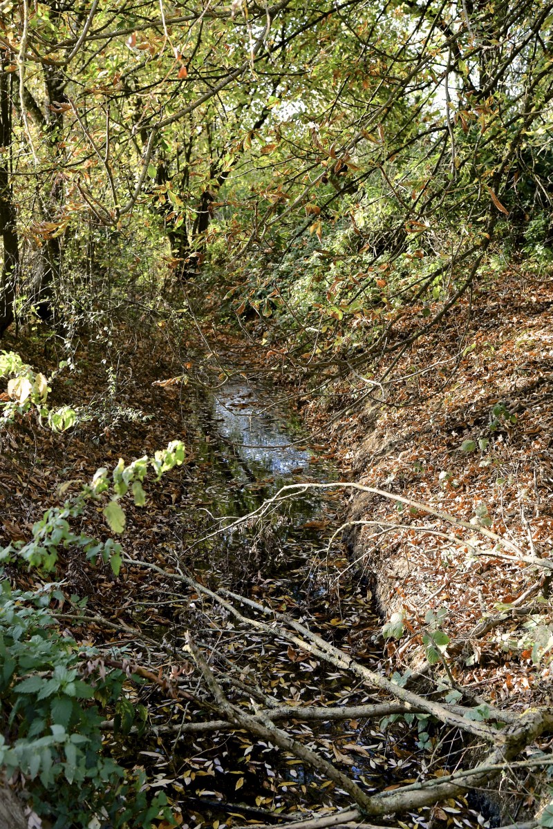 19.10.2018_Editpress_464957