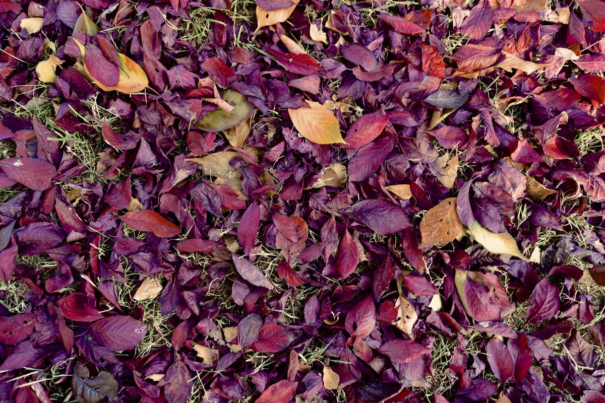 19.10.2018_Editpress_464958