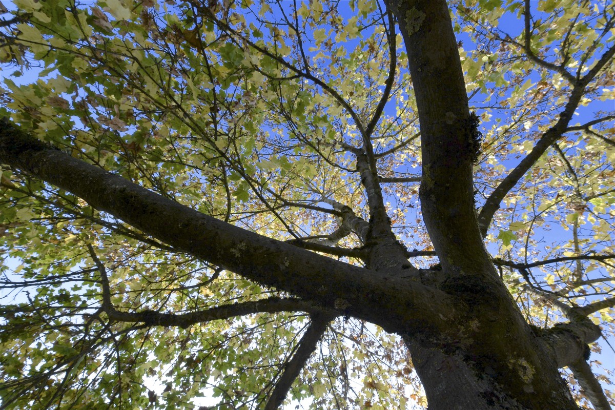 19.10.2018_Editpress_464959