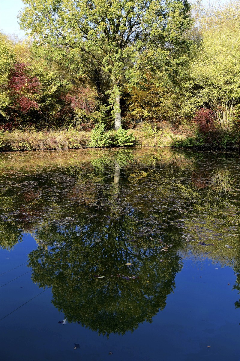 19.10.2018_Editpress_464961