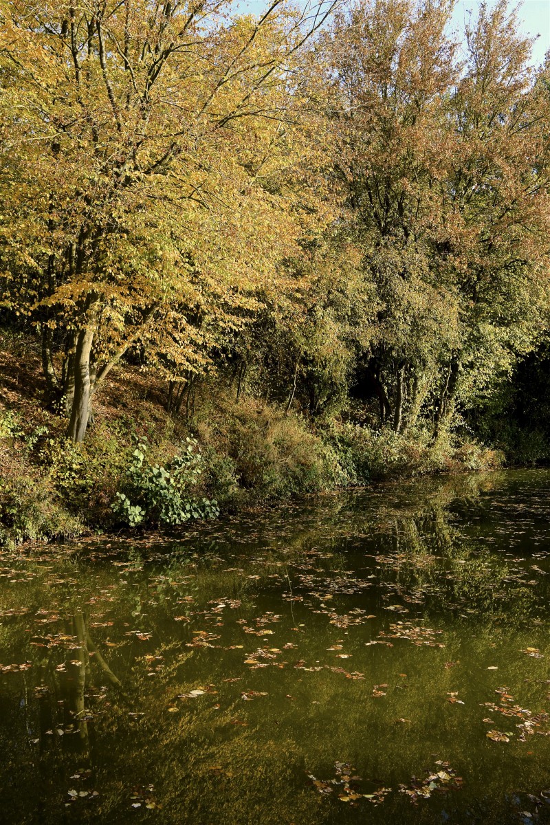 19.10.2018_Editpress_464962