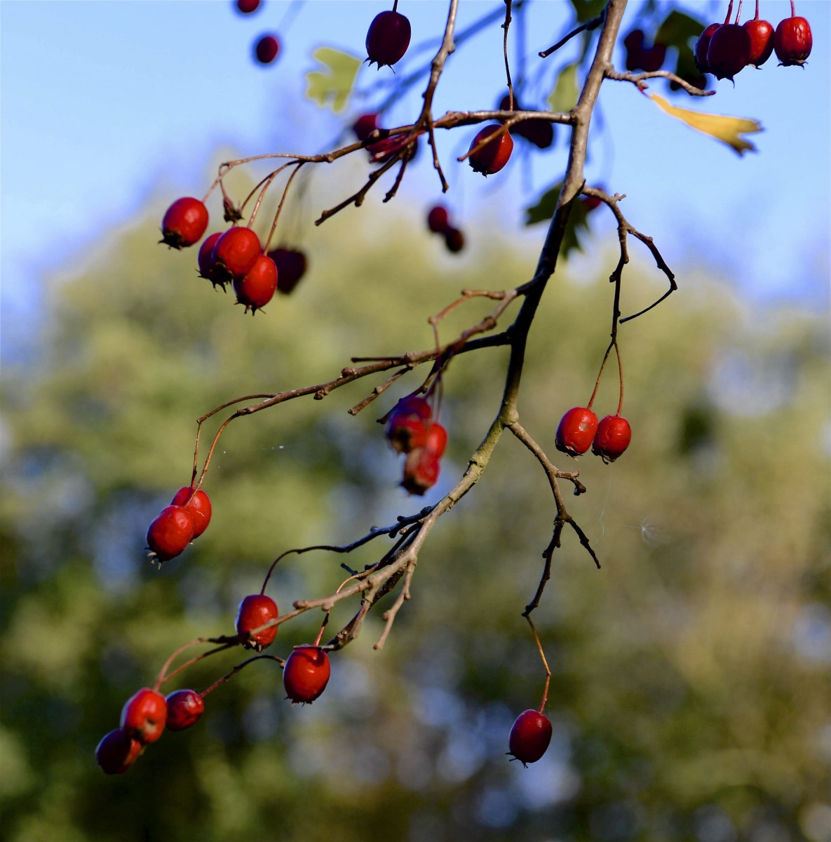 19.10.2018_Editpress_464965