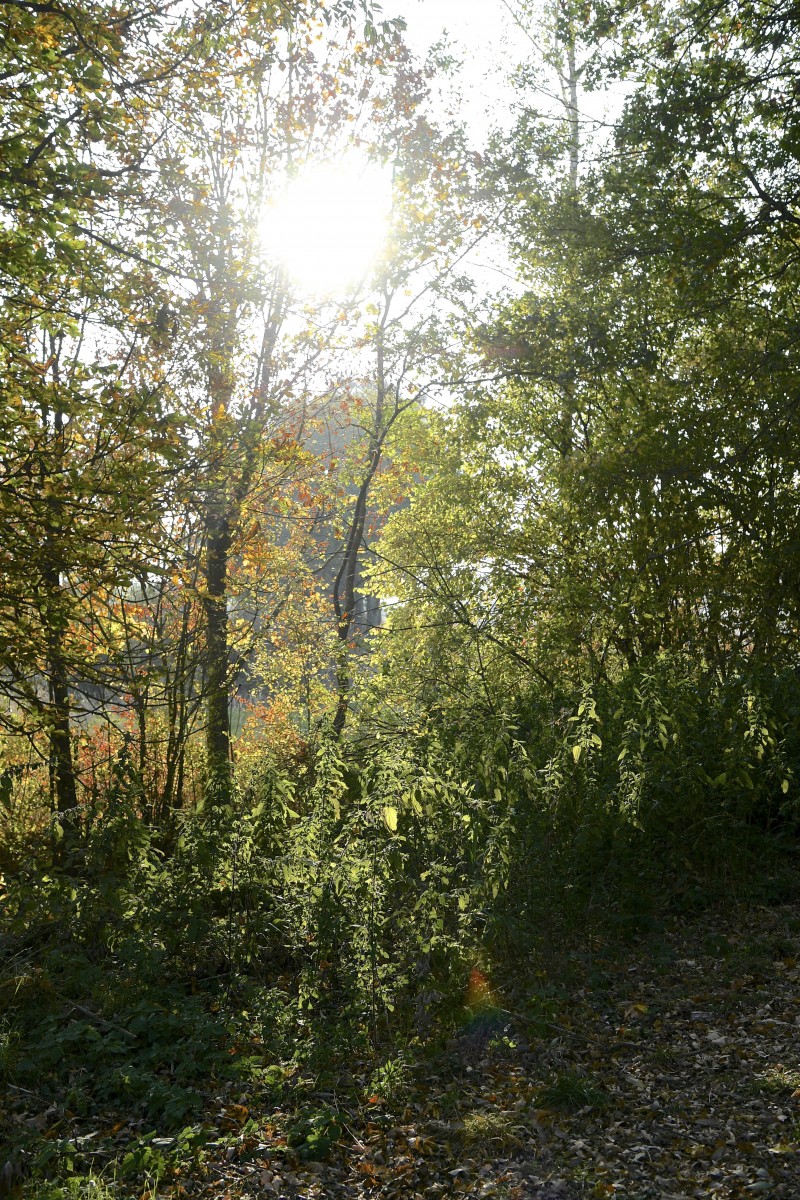 19.10.2018_Editpress_464966