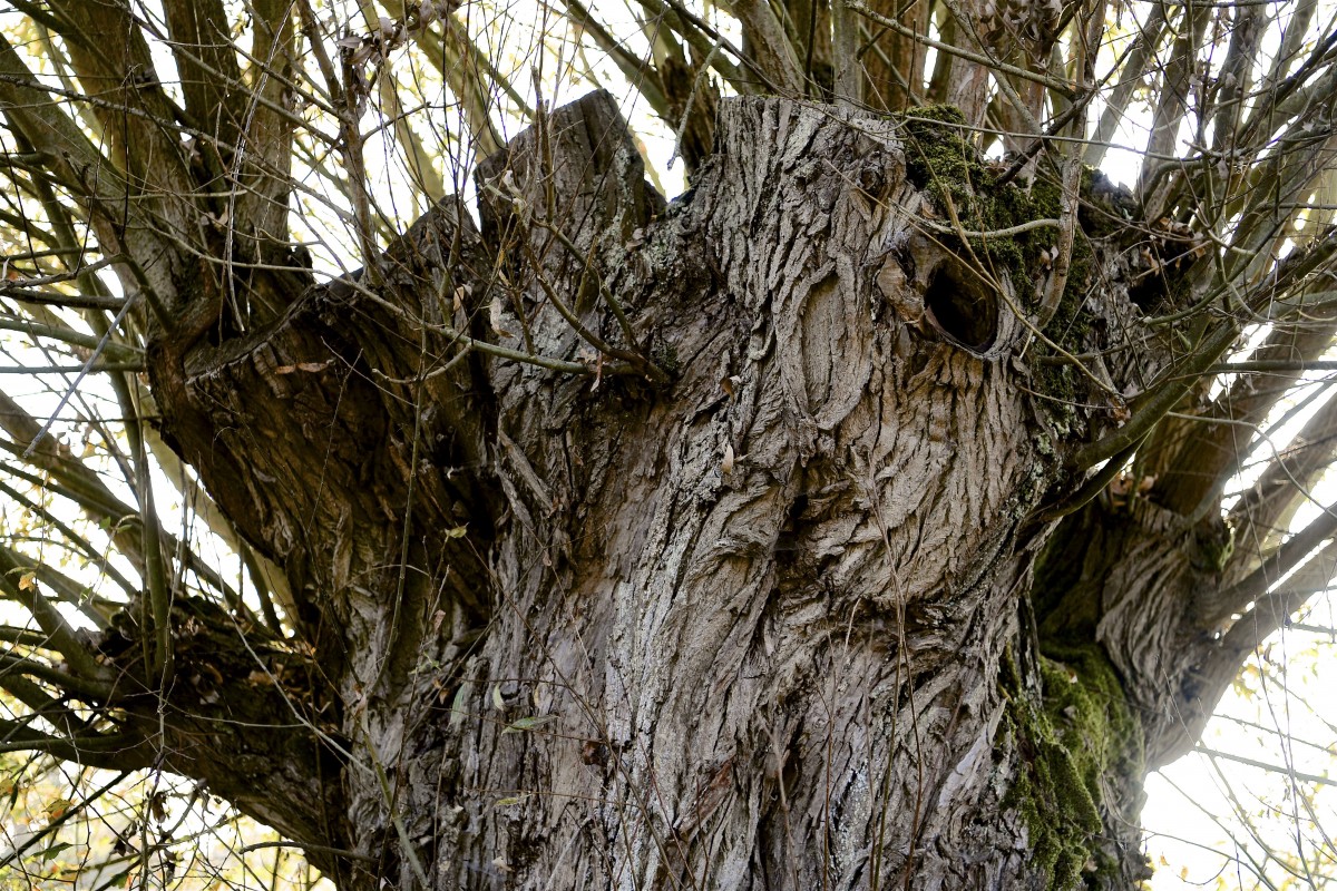 19.10.2018_Editpress_464968