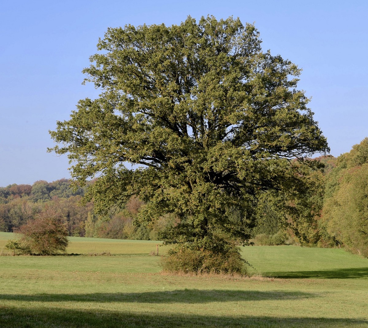 19.10.2018_Editpress_464969