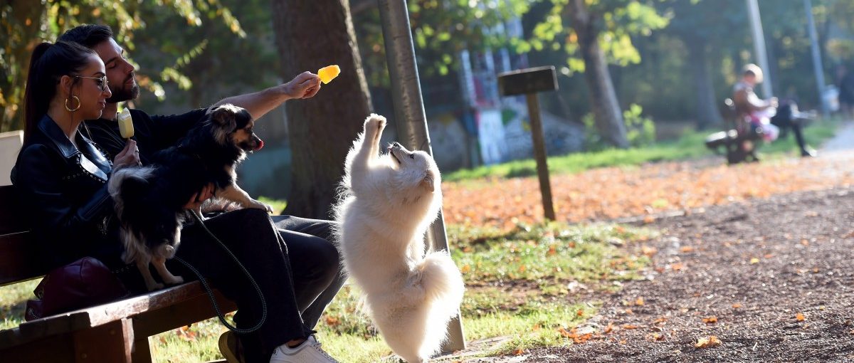 Luxemburg sagt dem Sommer ade! Die Temperaturen sinken, das Regenrisiko steigt
