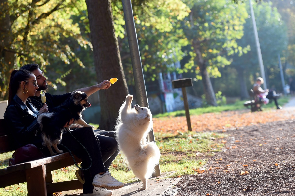 19.10.2018_Editpress_464972