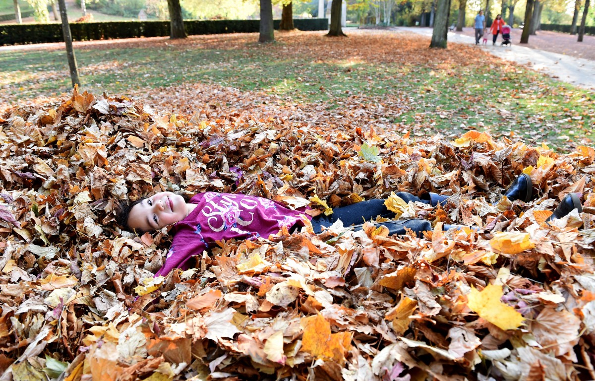 19.10.2018_Editpress_464973