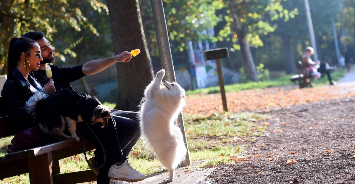 19.10.2018_Editpress_464974