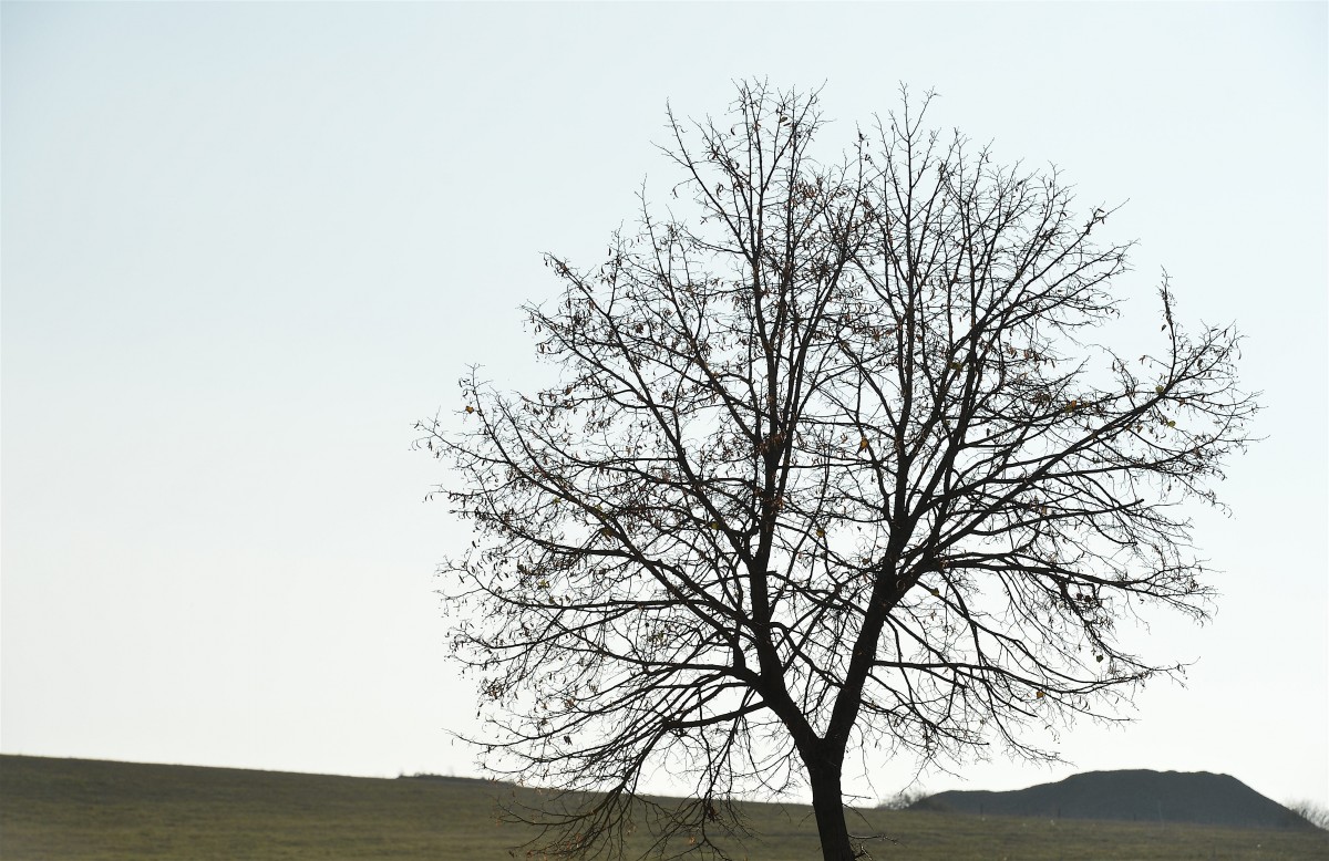 19.10.2018_Editpress_465019