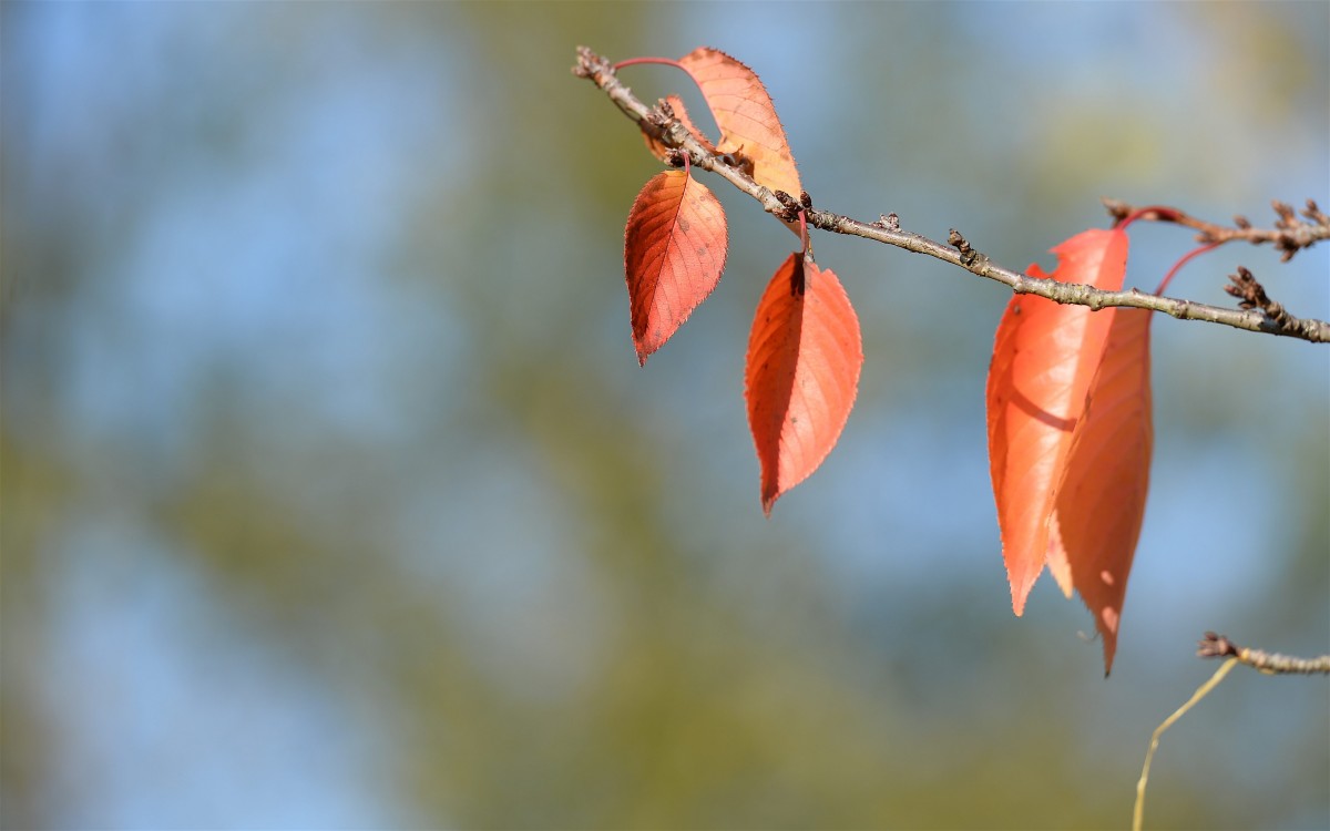 19.10.2018_Editpress_465020
