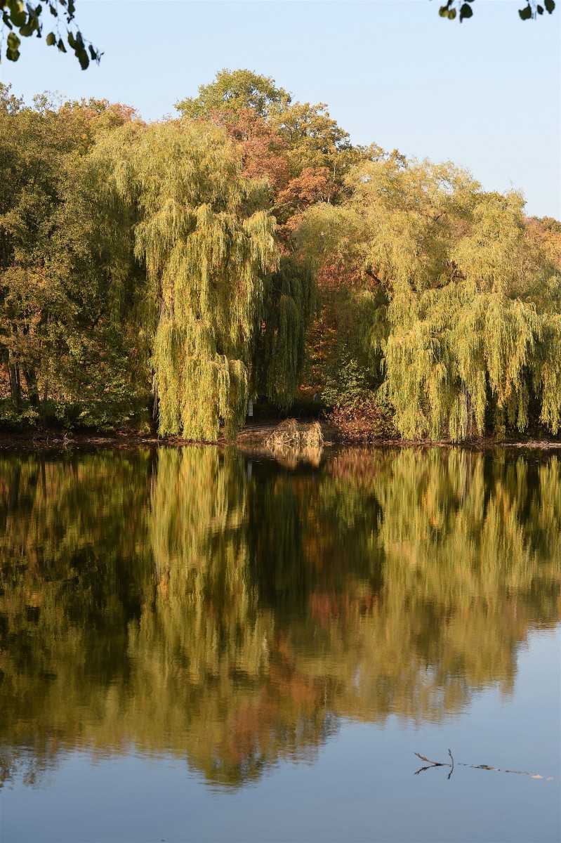 19.10.2018_Editpress_465022