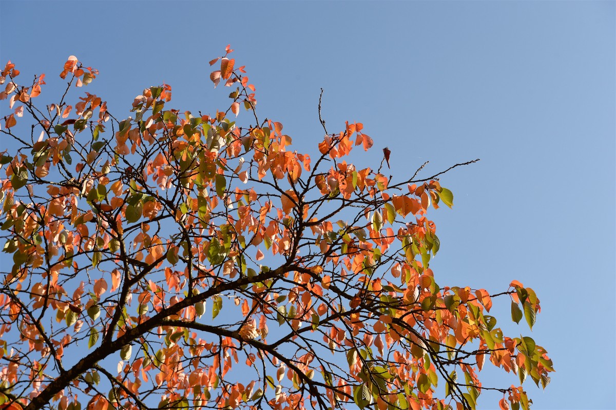 19.10.2018_Editpress_465024