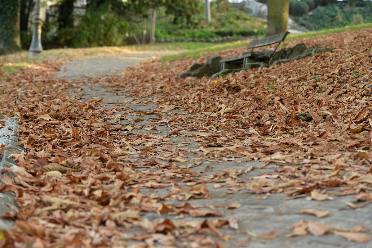 19.10.2018_Editpress_465027