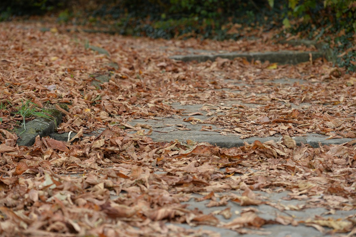 19.10.2018_Editpress_465028