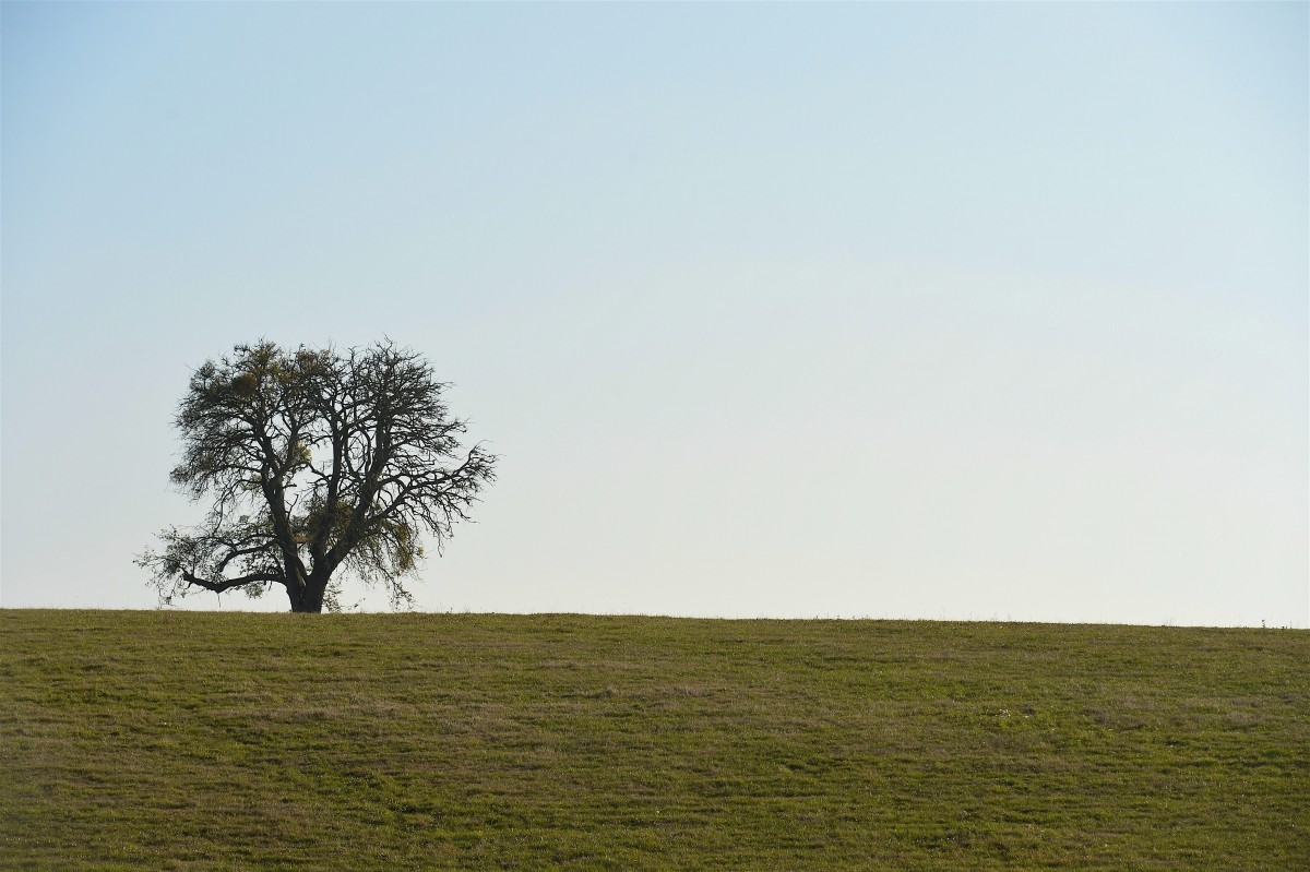 19.10.2018_Editpress_465030