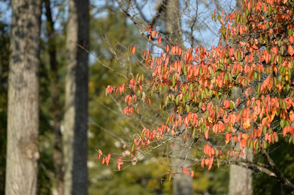 19.10.2018_Editpress_465031