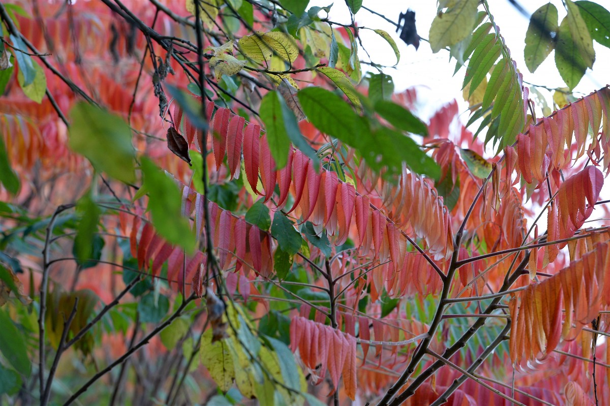 19.10.2018_Editpress_465033