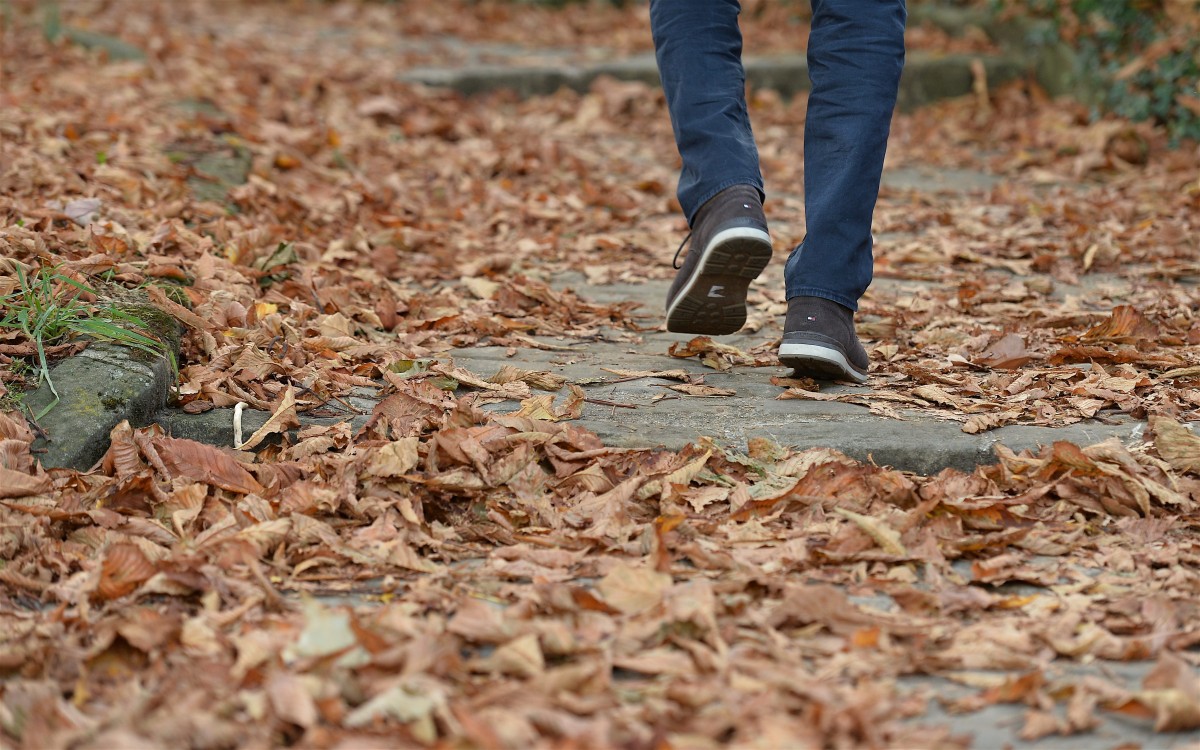 19.10.2018_Editpress_465034