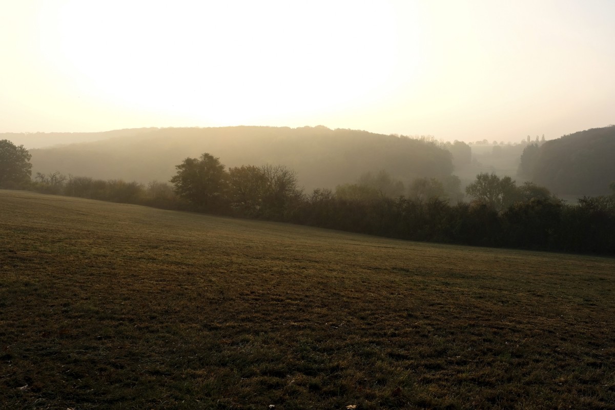 20.10.2018_Editpress_465115